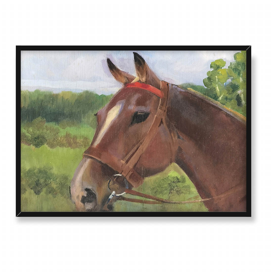 Jerzy Kossak Głowa konia 2 70x50