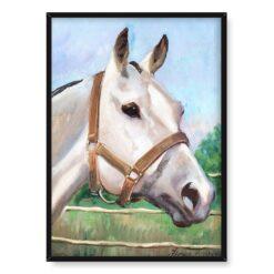 Jerzy Kossak Głowa konia 50×70