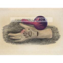 Jindrich Styrsky Ręka — produkt cyfrowy do pobrania