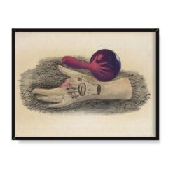 Jindrich Styrsky Ręka 40×30