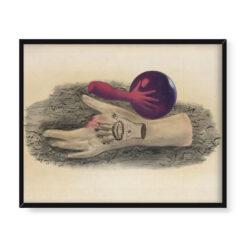 Jindrich Styrsky Ręka 50×40