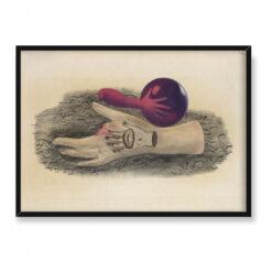 Jindrich Styrsky Ręka 70×50