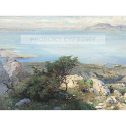 Menci Clement Crncić Widok z Plasa — produkt cyfrowy do pobrania