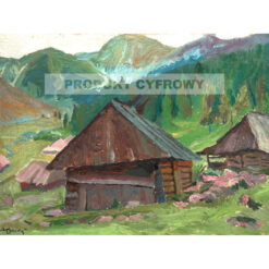 Stanisław Kamocki Hala Jaworzynka — produkt cyfrowy do pobrania