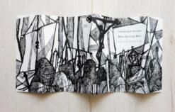 Alternative view of Most San Luis Rey Wilder