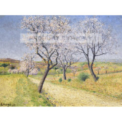 Achille Lauge Droga do Cailhavel — produkt cyfrowy do pobrania