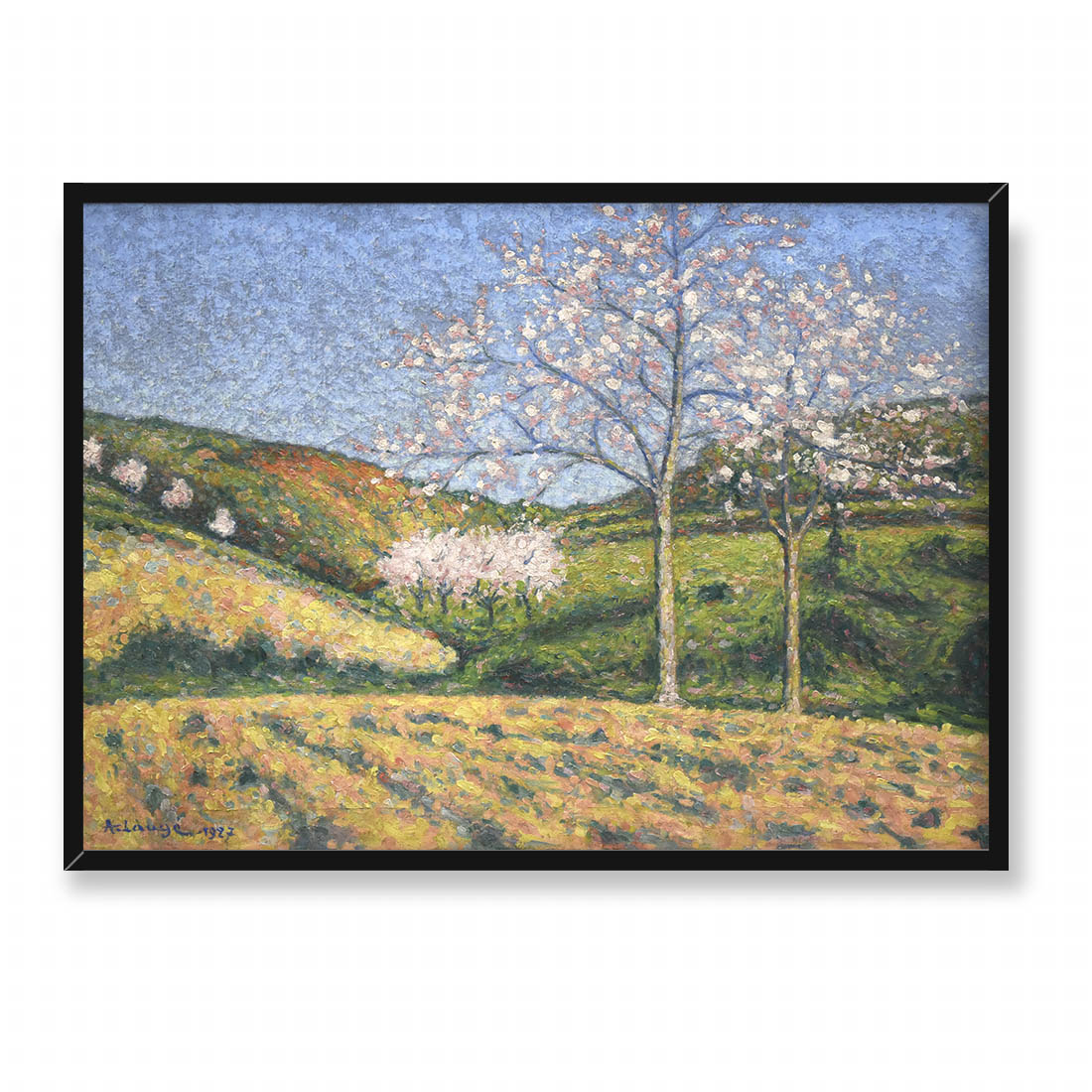 Achille Lauge Migdałowce 70x50