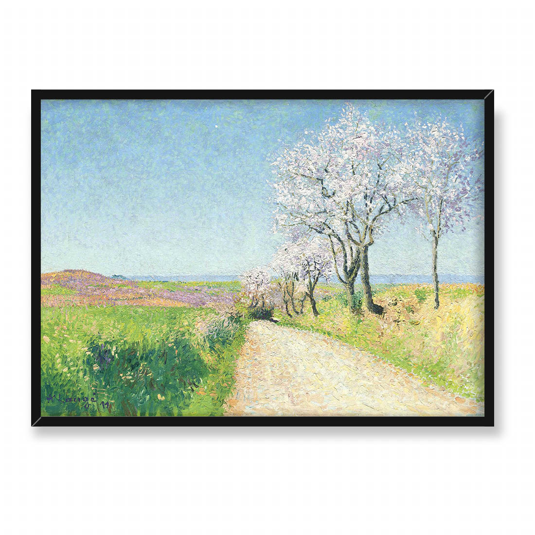 Achille Lauge Ścieżka wśród kwitnących migdałowców 70x50