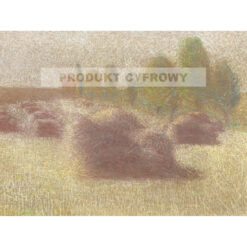 Achille Lauge Snopy — produkt cyfrowy do pobrania