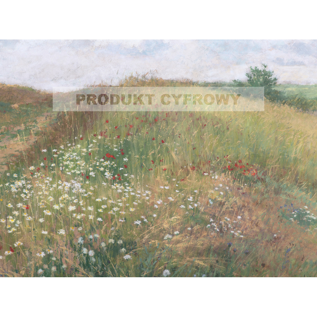 Antonin Slavicek Lato — produkt cyfrowy do pobrania