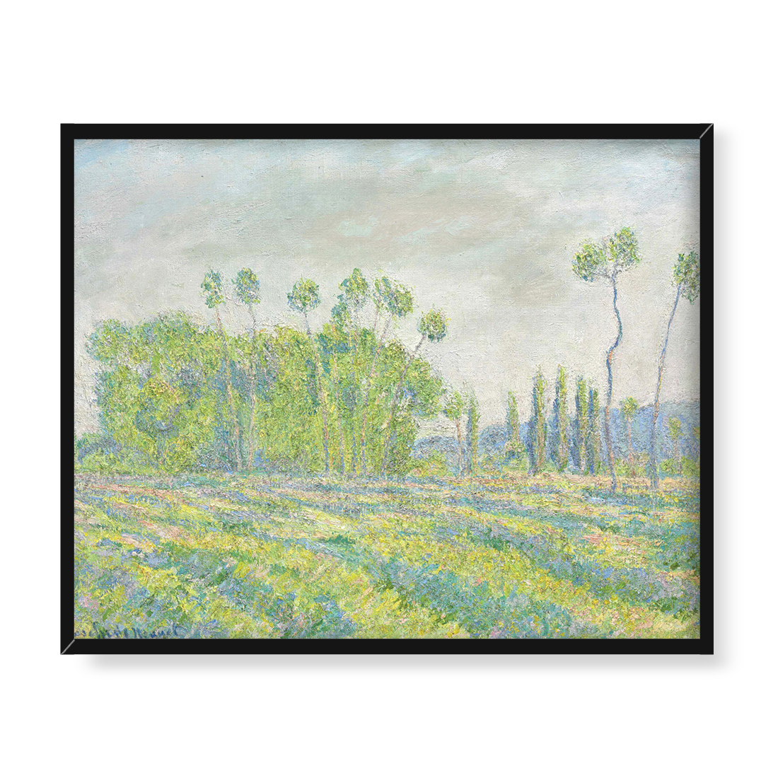 Blanche Hoschede Monet Giverny Topole w Ajoux 50x40 w RAMIE
