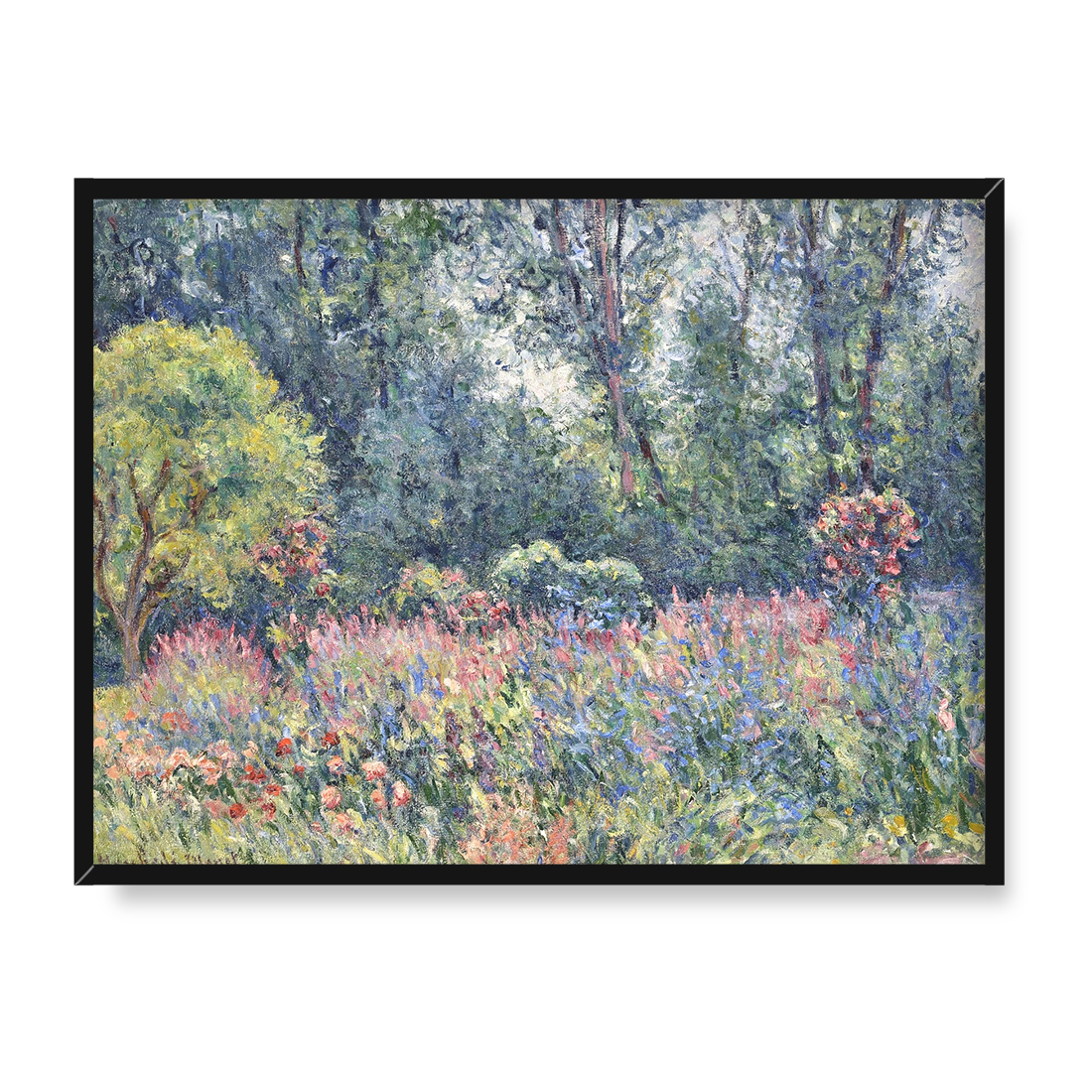 Blanche Hoschede Monet Ogród 40x30 w RAMIE
