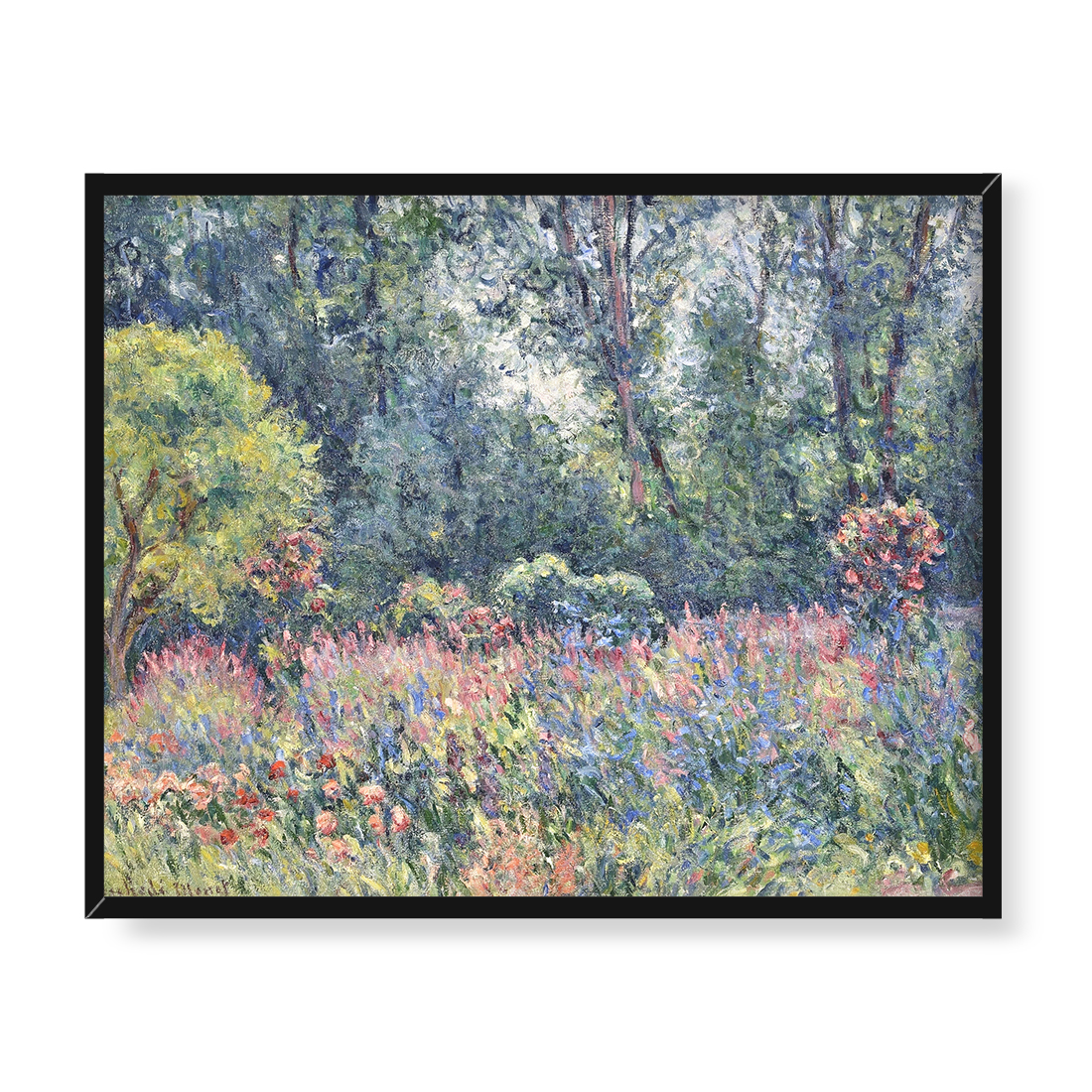 Blanche Hoschede Monet Ogród 50x40