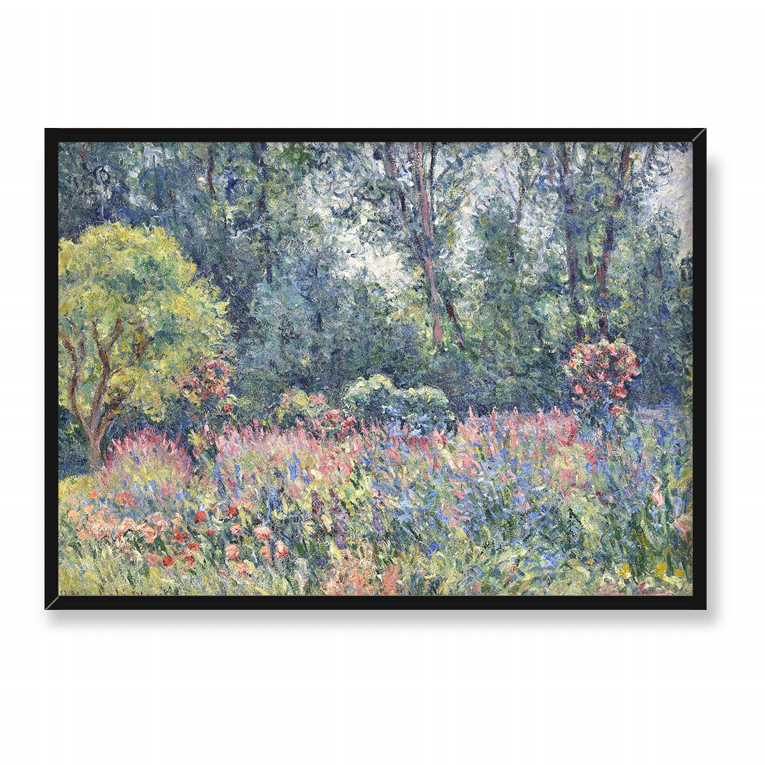 Blanche Hoschede Monet Ogród 70x50