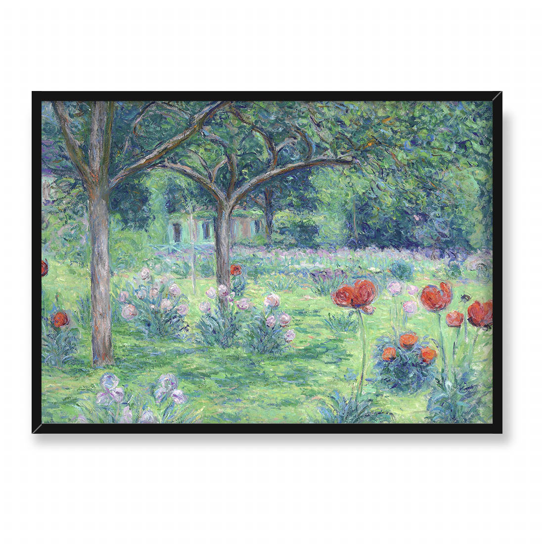 Blanche Hoschede Monet Ogród Moneta w Giverny 70x50