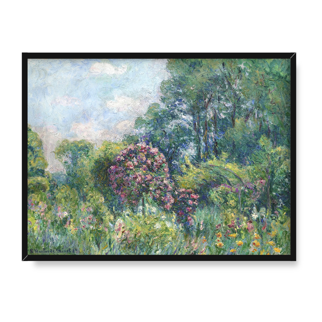 Blanche Hoschede Monet Różanka w Giverny 40x30 w RAMIE