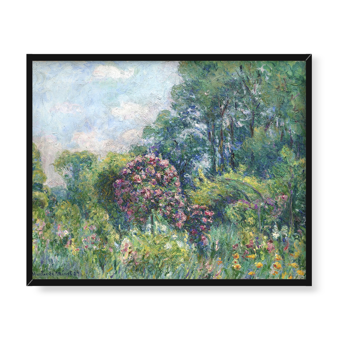 Blanche Hoschede Monet Różanka w Giverny 50x40