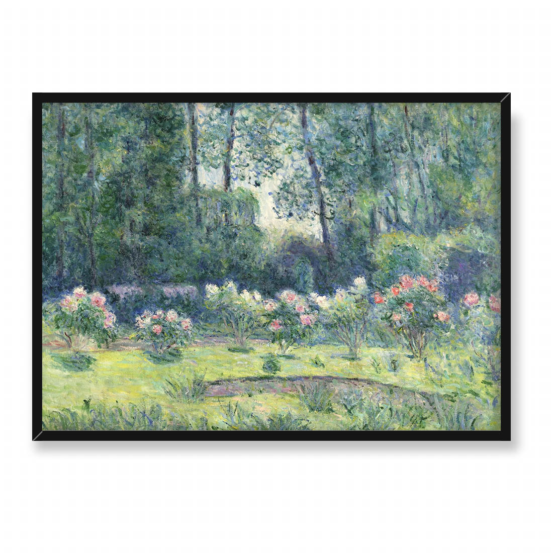 Blanche Hoschede Monet Różanka w ogrodzie Moneta w Giverny 70x50
