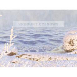 Gustaf Fjaestad Pierwszy chłód nad jeziorem — produkt cyfrowy do pobrania