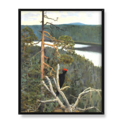 Akseli Gallen-Kallela Dzięcioł czarny 40×50