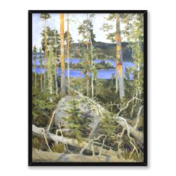 Akseli Gallen-Kallela Jezioro na pustkowiu 30×40