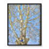Akseli Gallen Kallela Wierzba krucha i błękitny ptak 40×50