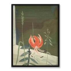 Anna-Lisa Thomson Lilia tygrysia w oknie 30×40