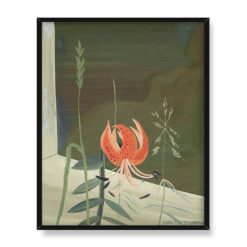 Anna-Lisa Thomson Lilia tygrysia w oknie 40×50