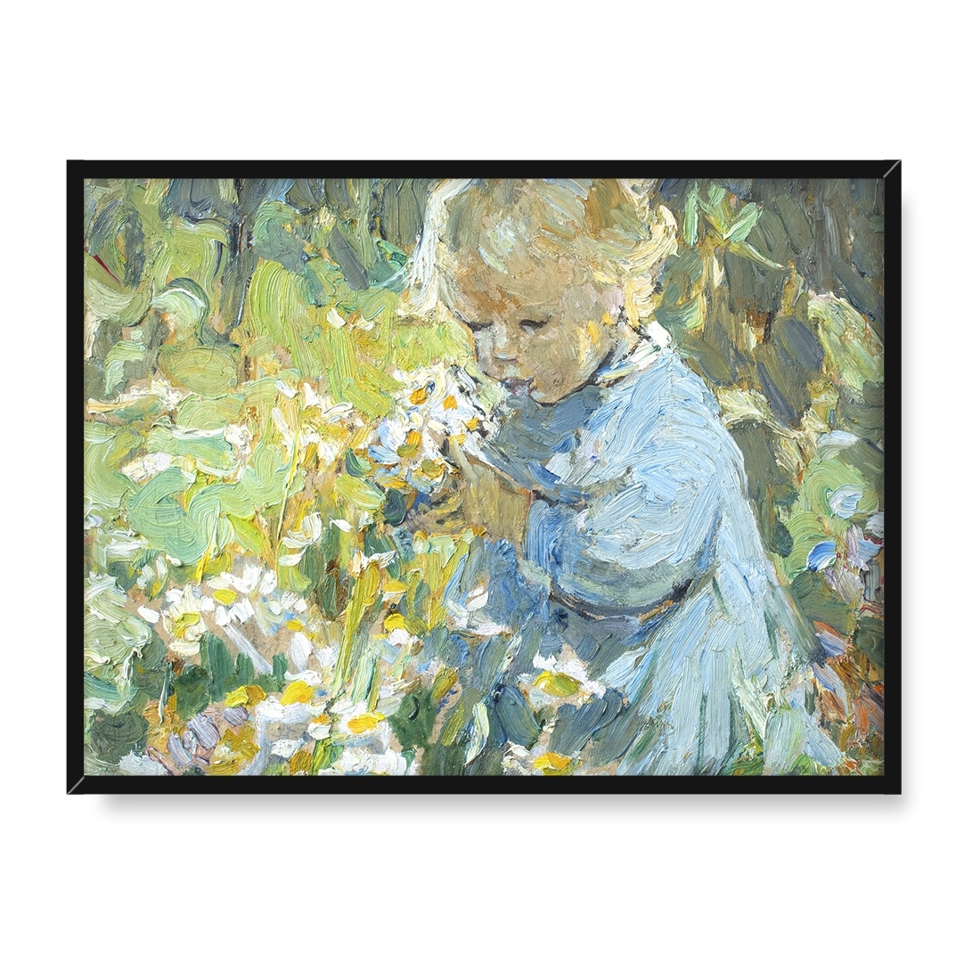 Dorothea Sharp Słodkie margerytki 40x30 w RAMIE