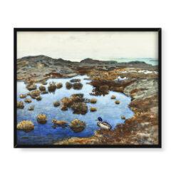 Axel Sjoberg Pejzaż morski z kaczkami 50×40